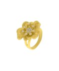Eugénio Campos Sofia Joia Anel Mulher 110.B547.D.1