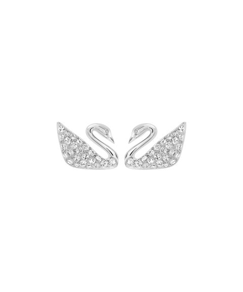 Swarovski Swan Joia Brincos Mulher 1116357 Swarovski Swan Joia Brincos Mulher 1116357