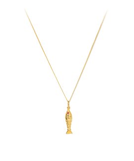 Mesh Fish Joia Colar Mulher 1254004D
