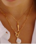 Mesh Fish Joia Colar Mulher 1254004D