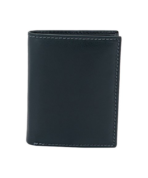 Friedrich Carteira RFID scanner protection 16064-9