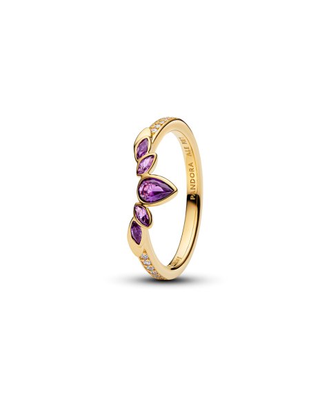 Pandora Disney Frozen Queen Anna Tiara Joia Anel Mulher 164135C01