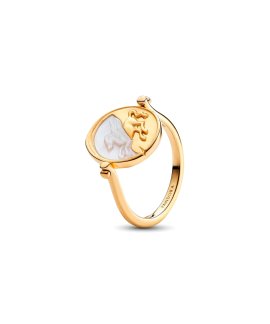 Pandora Talisman Pegasus Reversible Medallion Joia Anel Mulher 164812C01