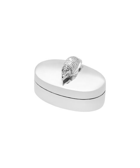 Pereirinha Texugo Caixa de Dente 183CX0025 Pereirinha Texugo Caixa de Dente 183CX0025