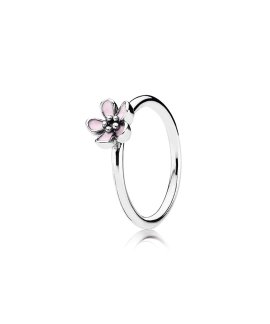 Pandora Pink Cherry Blossom Joia Anel Mulher 190879EN40