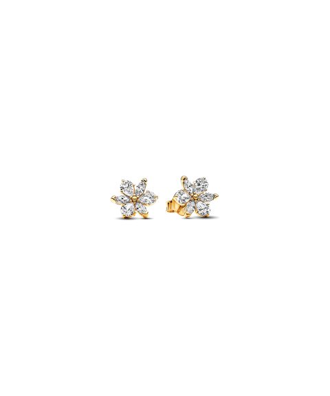 Pandora Shine Sparkling Herbarium Cluster Joia Brincos Mulher 262633C01 Pandora Shine Sparkling Herbarium Cluster Joia Brincos Mulher 262633C01