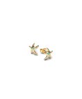 Pandora Starfish Joia Brincos Mulher 263820C01