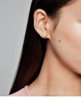 Pandora Shine Decorative Butterflies Joia Brincos Mulher 267921CZ Pandora Shine Decorative Butterflies Joia Brincos Mulher 267921CZ