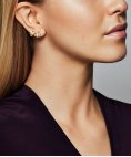 Pandora Shine Shining and Sparkling Leaf Joia Brincos Mulher 268334CZ Pandora Shine Shining and Sparkling Leaf Joia Brincos Mulher 268334CZ