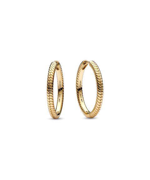 Pandora Shine Moments Joia Brincos Mulher 269532C00 Pandora Shine Moments Joia Brincos Mulher 269532C00