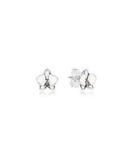 Pandora White Orchid Joia Brincos Mulher 290749EN12
