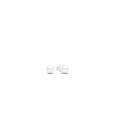 Pandora Timeless Joia Brincos Mulher 293168C01 Pandora Timeless Joia Brincos Mulher 293168C01