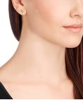 Swarovski Swan Joia Brincos Mulher 5083132 Swarovski Swan Joia Brincos Mulher 5083132