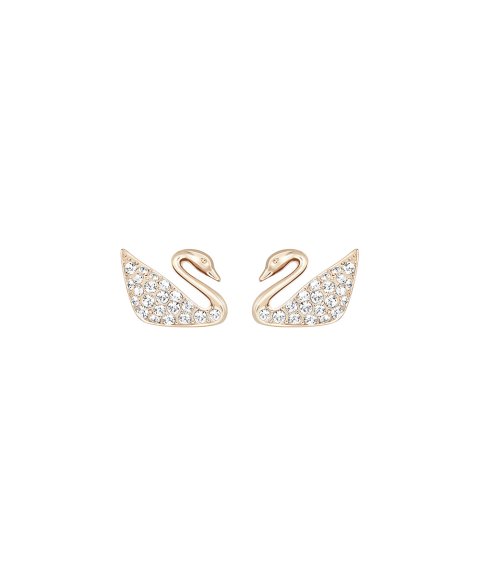 Swarovski Swan Joia Brincos Mulher 5144289 Swarovski Swan Joia Brincos Mulher 5144289