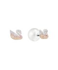 Swarovski Iconic Swan Joia Brincos Mulher 5215037 Swarovski Iconic Swan Joia Brincos Mulher 5215037