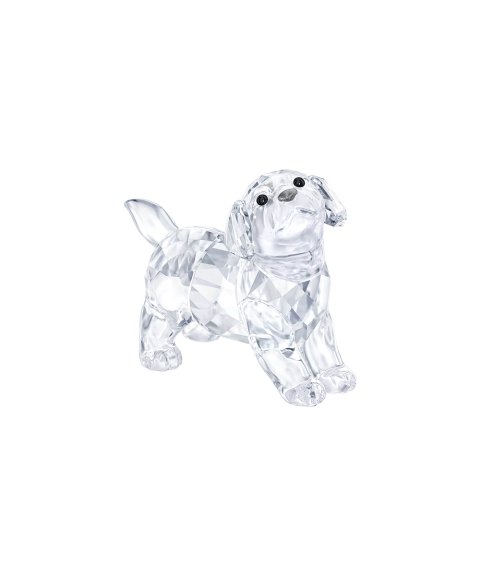 Swarovski Labrador Puppy Decoração Figura de Cristal 5400141