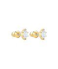 Swarovski Oz Joia Brincos Mulher 5467320 Swarovski Oz Joia Brincos Mulher 5467320