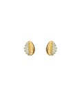 Swarovski Shell Joia Brincos Mulher 5520471 Swarovski Shell Joia Brincos Mulher 5520471