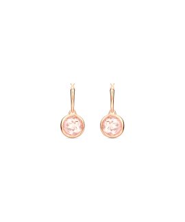 Swarovski Tahlia Joia Brincos Mulher 5560932