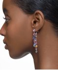 Swarovski Gema Joia Brincos Mulher 5613740