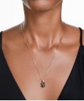 Swarovski Swan Joia Colar Mulher 5678046 Swarovski Swan Joia Colar Mulher 5678046