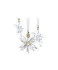Swarovski 3D Star Annual Edition 2025 Decoração Figura de Cristal Adorno 5701628