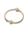 Pandora Shining Path Joia Conta Clip Mulher 761972C01