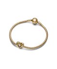 Pandora Shine Radiant Heart and Floating Stone Joia Conta Mulher 762493C01