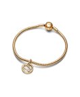 Pandora Zodiac Gemini Joia Conta Pendente Pulseira Gémeos Mulher 762711C01