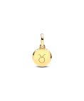 Pandora ME Green Engravable Mini Medallion Joia Conta Pendente Pulseira Mulher 763389C01