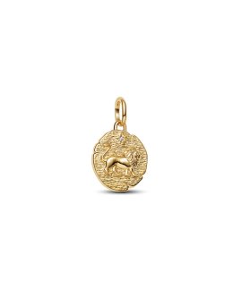 Pandora Talisman Lion Joia Conta Pendente Pulseira Mulher 763974C01