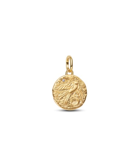 Pandora Talisman Swallow Joia Conta Pendente Pulseira Mulher 764082C01