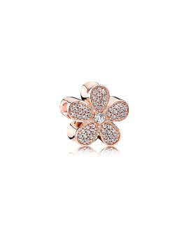 Pandora Rose Dazzling Daisy Joia Conta Mulher 781480CZ