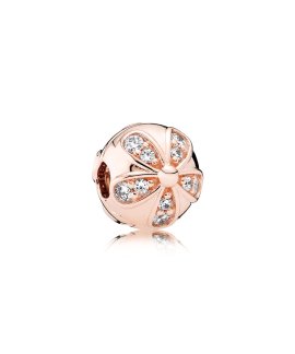 Pandora Rose Dazzling Daisies Joia Conta Clip Mulher 781493CZ