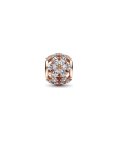 Pandora Rose Sparkling Herbarium Cluster Joia Conta Mulher 782383C01 Pandora Rose Sparkling Herbarium Cluster Joia Conta Mulher 782383C01