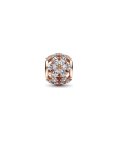 Pandora Rose Sparkling Herbarium Cluster Joia Conta Mulher 782383C01