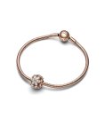 Pandora Rose Sparkling Herbarium Cluster Joia Conta Mulher 782383C01 Pandora Rose Sparkling Herbarium Cluster Joia Conta Mulher 782383C01