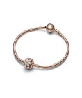 Pandora Rose Sparkling Herbarium Cluster Joia Conta Mulher 782383C01