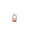 Pandora Rose Logo and Crown O Joia Conta Mulher 789036C00