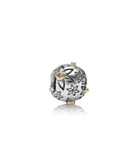 Pandora Starflower Joia Conta Mulher 790399DN