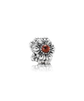 Pandora January Birthstone Joia Conta Mulher 790580GR