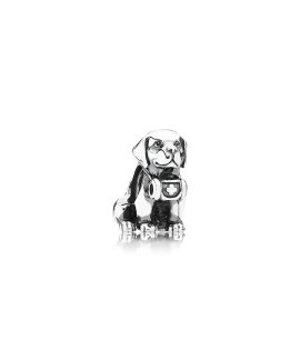 Pandora Saint Bernard Dog Joia Conta Mulher 791515