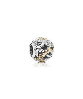 Pandora Family Forever Joia Conta Mulher 791525CZ