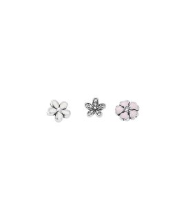 Pandora Poetic Blooms Petites Joia Acessório de Joia Mulher 792079CZ