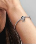 Pandora Cloud and Swallow Joia Conta Mulher 792569C01 Pandora Cloud and Swallow Joia Conta Mulher 792569C01
