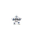 Pandora Bold Sparkling Star Joia Conta Mulher 792974C01 Pandora Bold Sparkling Star Joia Conta Mulher 792974C01