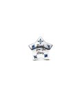 Pandora Bold Sparkling Star Joia Conta Mulher 792974C01