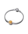 Pandora Rose in Bloom Joia Conta Mulher 793212C02