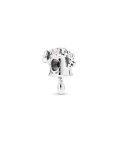 Pandora Blooming Watering Can Joia Conta Mulher 797873ENMX