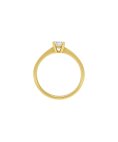 Davite Delucchi Joia Anel Ouro 18K e Diamante Mulher AA00303740SG